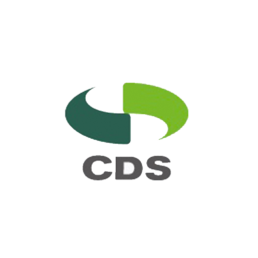 Beispiel Referenzbild für CDS